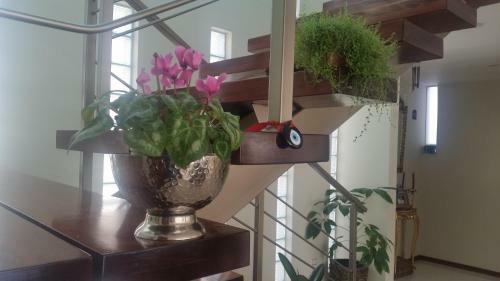 Beausejour Boutique Hotel