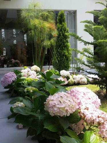 Beausejour Boutique Hotel