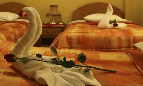 Posada Santa Maria Inn Puno