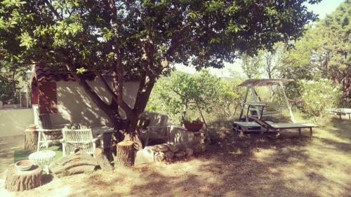 Agroturismo Casetta Vignanotica