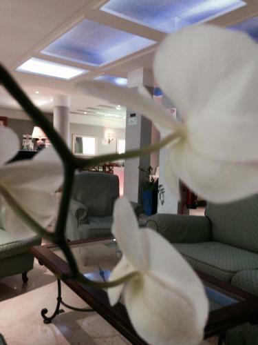 Green Park Hotel