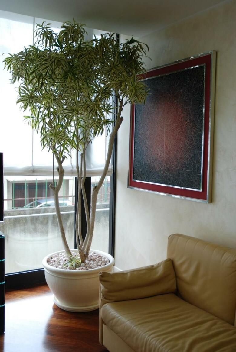 Hotel Continental Brescia