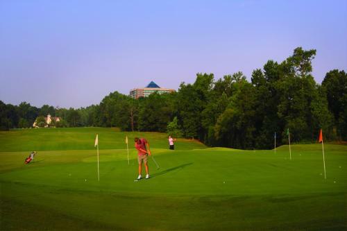 Hotel Embassy Suites Charlotte - Concord/golf Resort & Spa