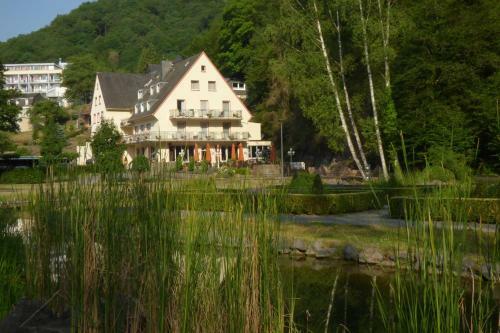 Hotel Alte M�hle