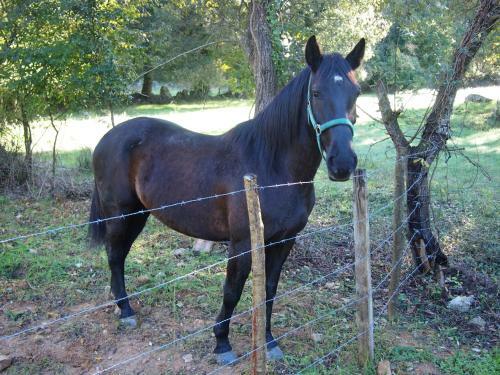 Bed & Breakfast El Rinc�n De Escalante