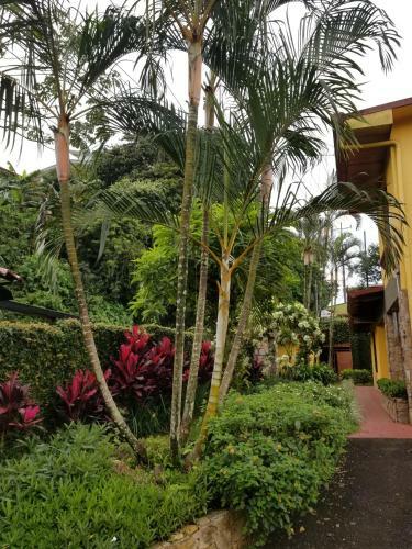 Bed & Breakfast La Terraza Guest House