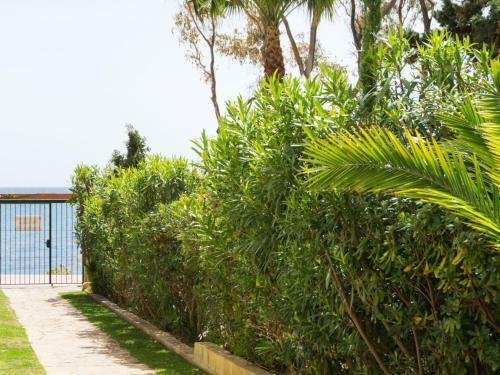 Holiday Home Garden Beach