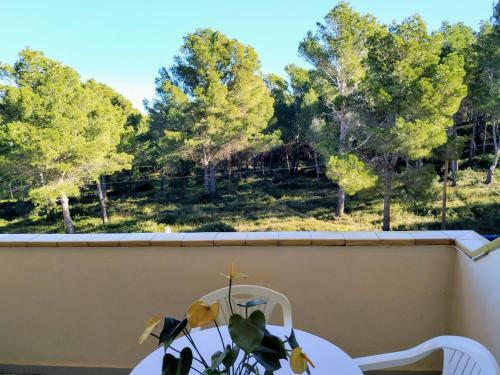 Apartamento Magda