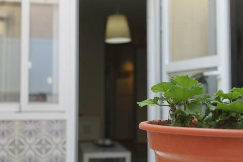 Apartamentos Toletvm