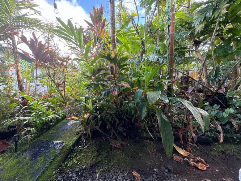 Bed & Breakfast Hawaiian Ohana Home