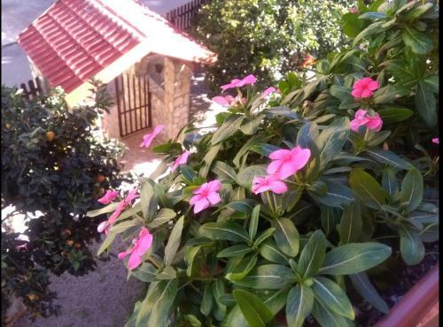 Apartamento Casa Belvedere