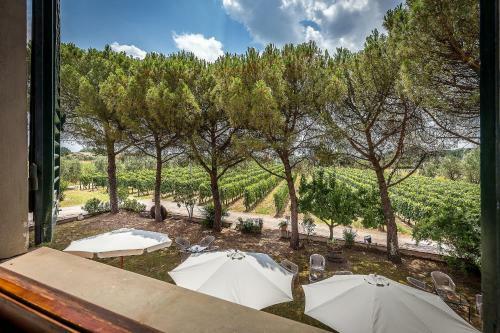 Bed & Breakfast Locanda Il Fornello