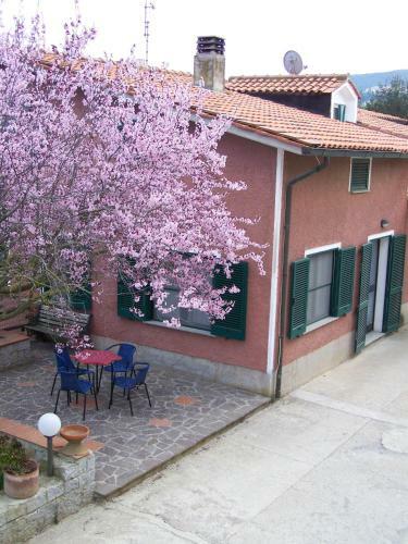 Apartamento Appartamenti Gli Alberi