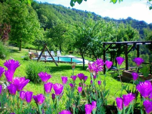 Agroturismo Bio Agriturismo Il Vigno