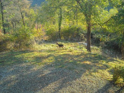 Agroturismo B&B Locanda La Capannuccia