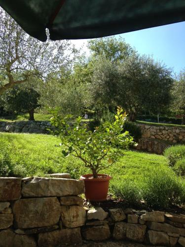 Agroturismo B&B Locanda La Capannuccia