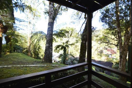 Hotel Pi�o Mineiro
