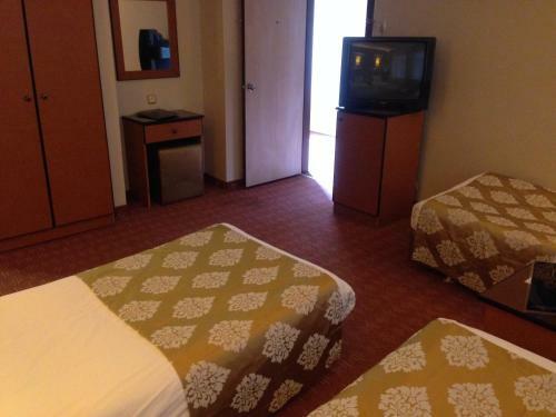 Hotel Arti�