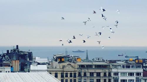 Hivas Hotel
