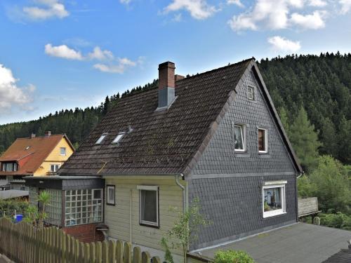 Pleasant Apartment In Wildemann Amid Forest