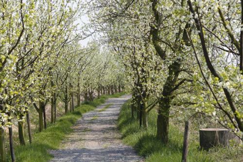 Apartamento Ferienwohnung Werner
