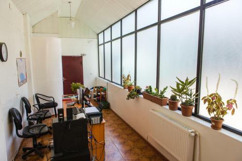 White City Hostel