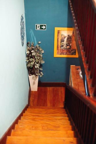 Hotel & Hostel Br�s