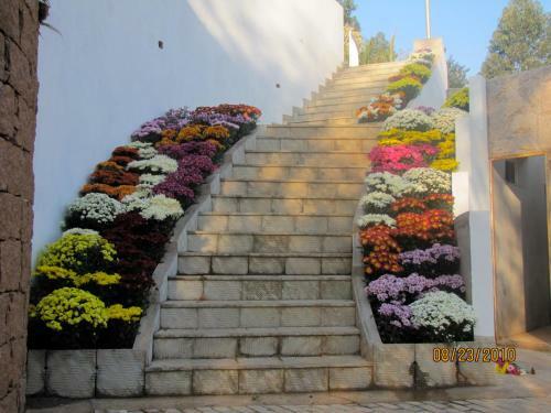 El Shadai Park Hotel