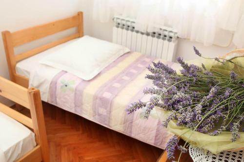 Apartments Antonieta