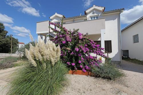 Apartment Lavanda