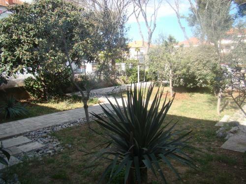 Apartamentos Villa Lipa