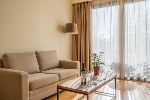 Hotel Domotel Anemolia Mountain Resort