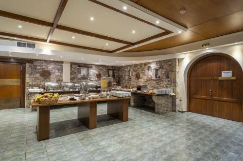 Hotel Domotel Anemolia Mountain Resort
