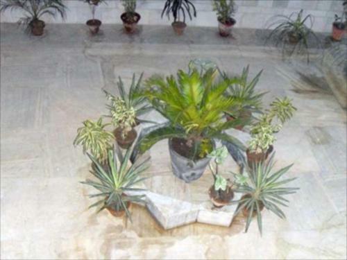 Bed & Breakfast Hotel Raj