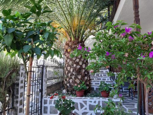 Apartamento Zefyros Studios
