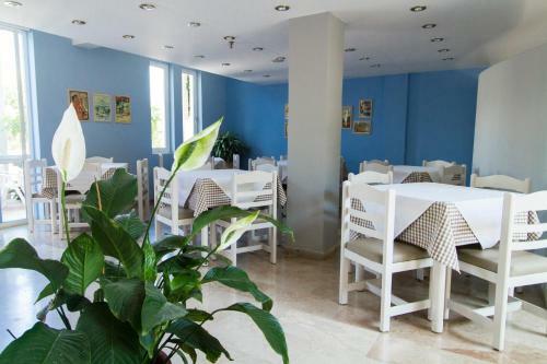 Hotel Peli