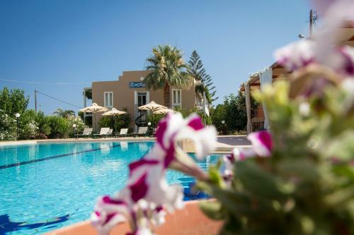 Hotel Peli
