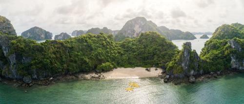 Swan Boutique Cruises