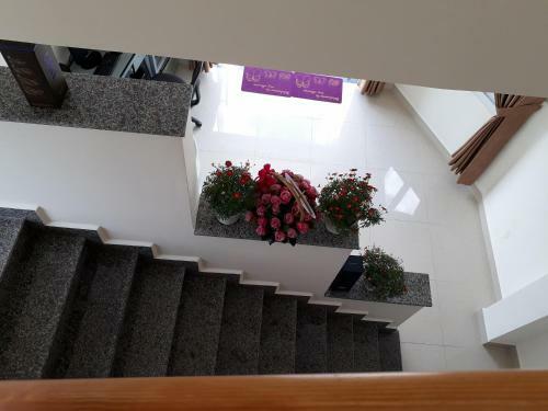 Bed & Breakfast Cam Ly Homestay