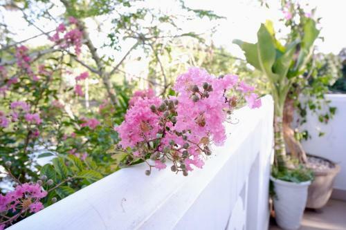 Minh Phat Homestay