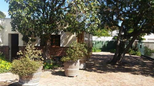 Colette's B&B