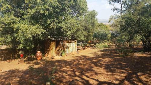 Agroturismo Houtbosdorp