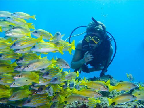 Hotel Coral Divers