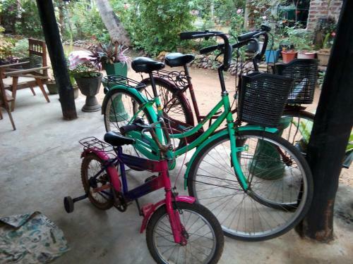 Lake House Homestay