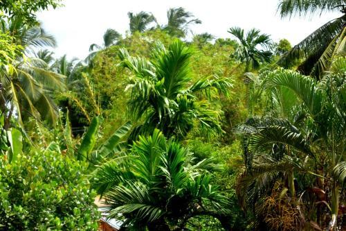 Hostal Villa Nature Park