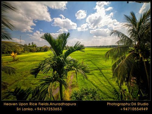 Bed & Breakfast Heaven Upon Rice Fields