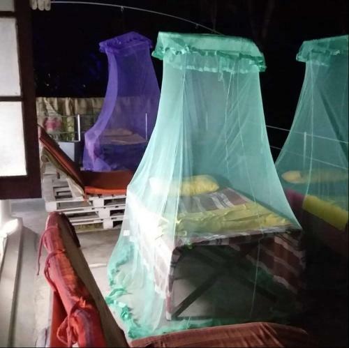 Fig And Gecko Hostel