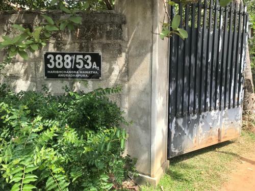 Bella House