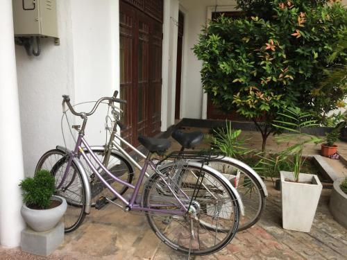Myr-o Homestay