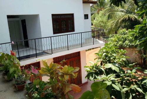 Hostal Wind Breeze Inn